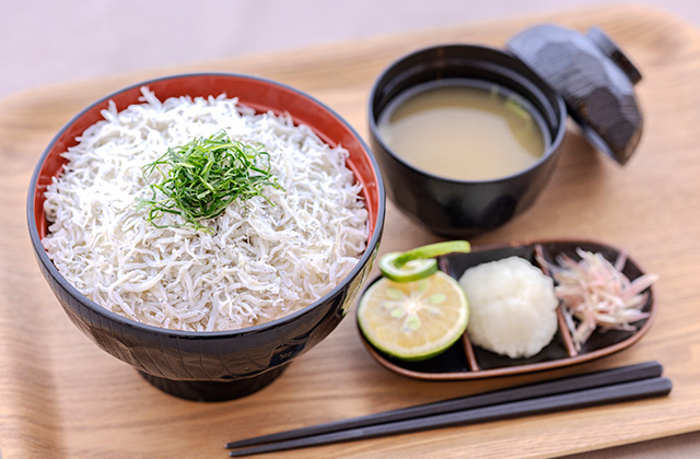 高知の美味しいシラス丼